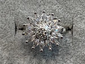 Fidget ringen zilver