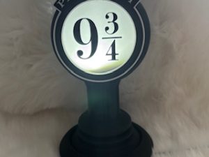 Lichtbox Platform  9¾ staand